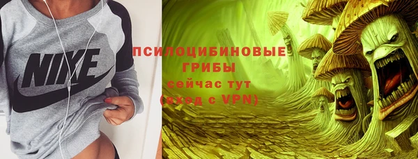 шишки Баксан