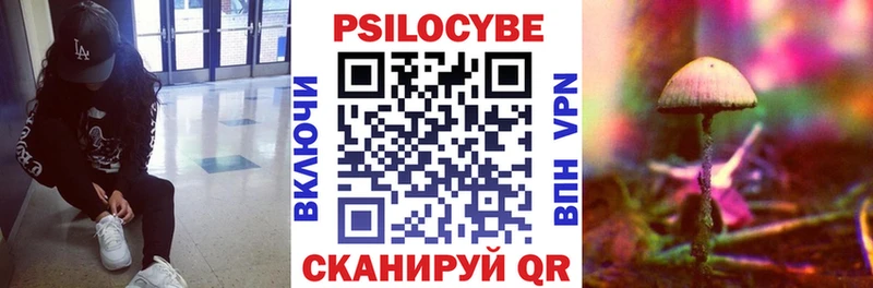 наркошоп  Цоци-Юрт  Галлюциногенные грибы мицелий 