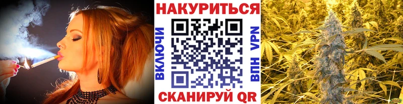 Каннабис сатива Цоци-Юрт